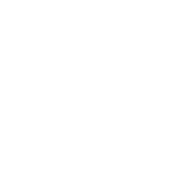 Nirsberg-Ikoner_Elkraft-Vit